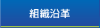 組織沿革